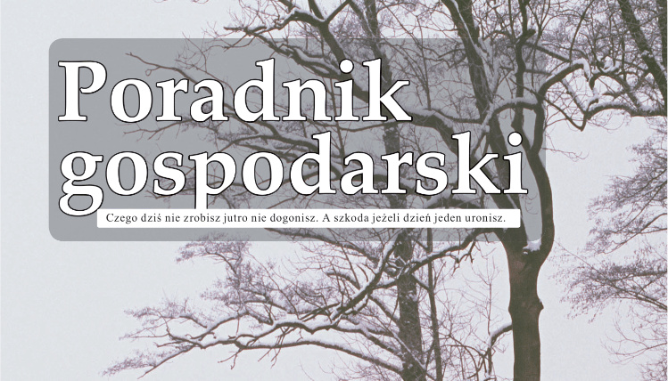 Biały napis Poradnik Gospodarski na tle drzewa bez liści pokrytego śniegiem.