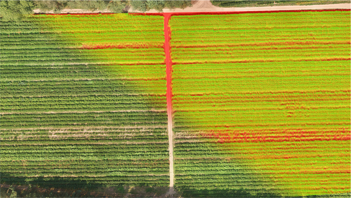 Pole z lotu ptaka. Nałożone są na nim czerwone linie, które wyznaczają obszary o największym potencjale do uprawy.