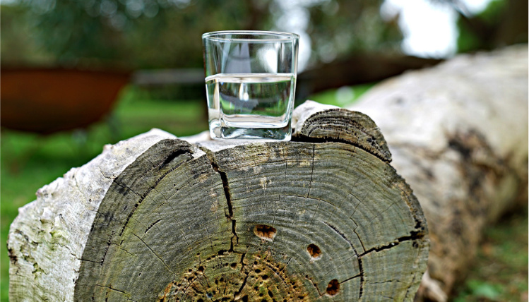 Na pniu stoi szklanka z wodą.