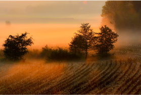 Zaorane pole w kolorowej formie graficznej