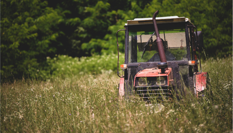 traktor starego typu jedzie przez łąkę