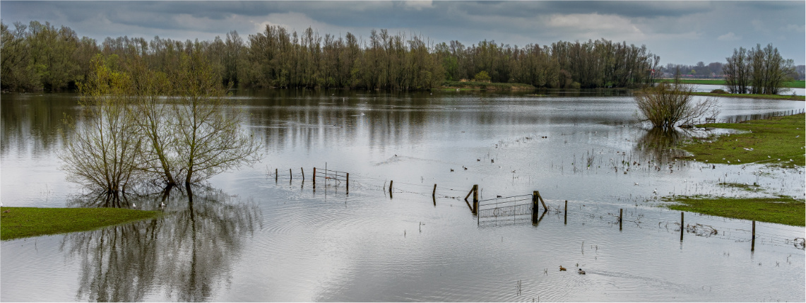 Zalane wodą pola