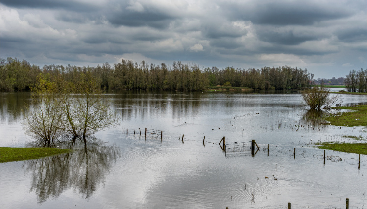 Zalane wodą pola