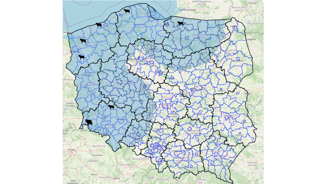 Drugie ognisko choroby niebieskiego języka w Polsce