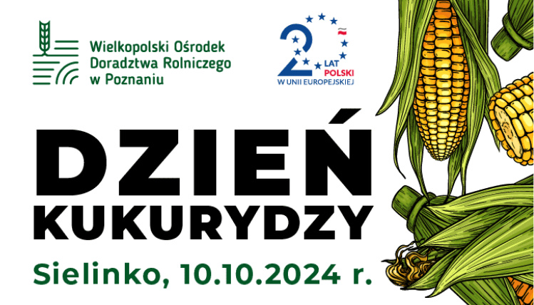 Plakat Wydarzenia Dzień Kukurydzy