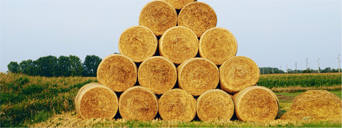 Rolnik może zdecydować komu przekaże 1,5% podatku