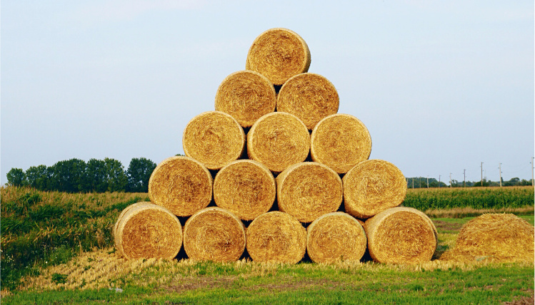 Rolnik może zdecydować komu przekaże 1,5% podatku