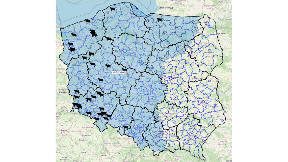 Mapa 1. Ogniska BTV w 2025 roku, źródło: GLW
