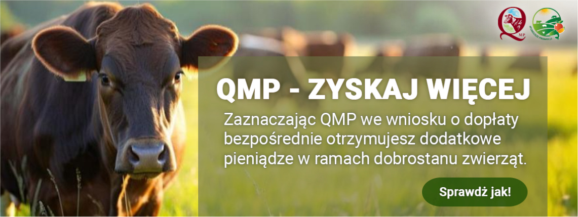 Certyfikat QMP, czas do 31 lipca
