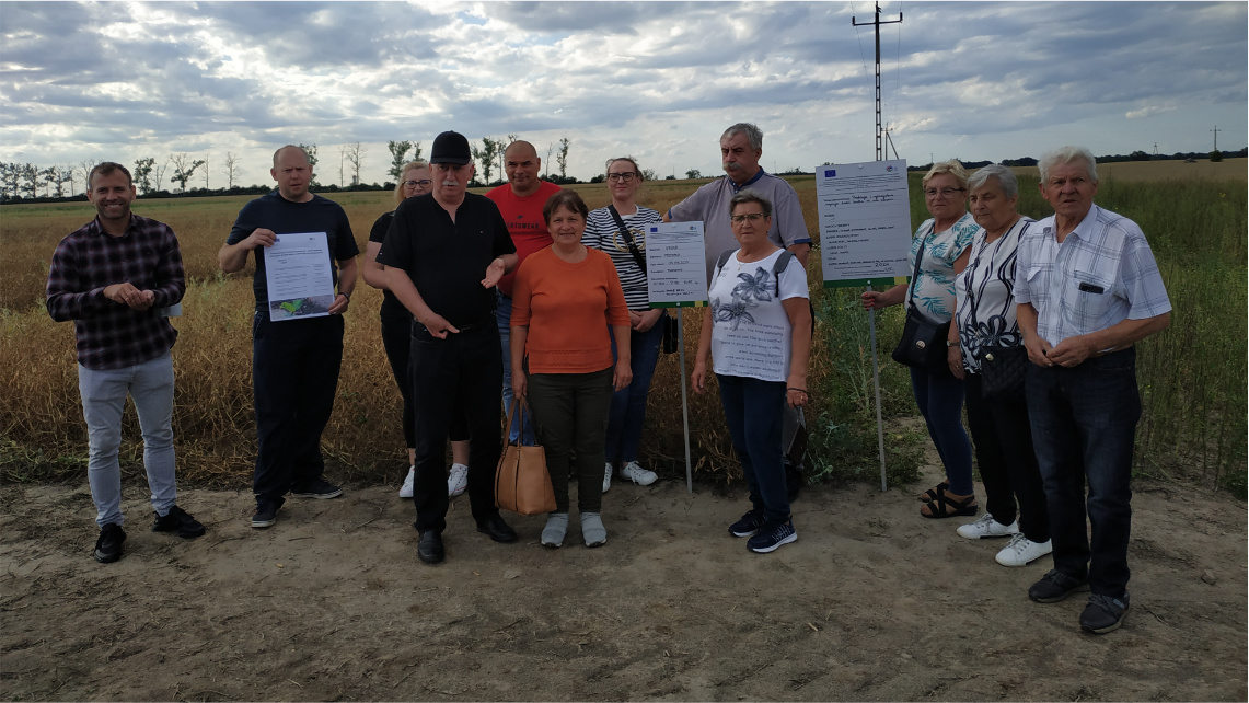 Podsumowanie realizacji operacji "Demonstracje z zakresu produkcji i wykorzystania krajowych źródeł białka roślinnego na cele paszowe" w województwie wielkopolskim