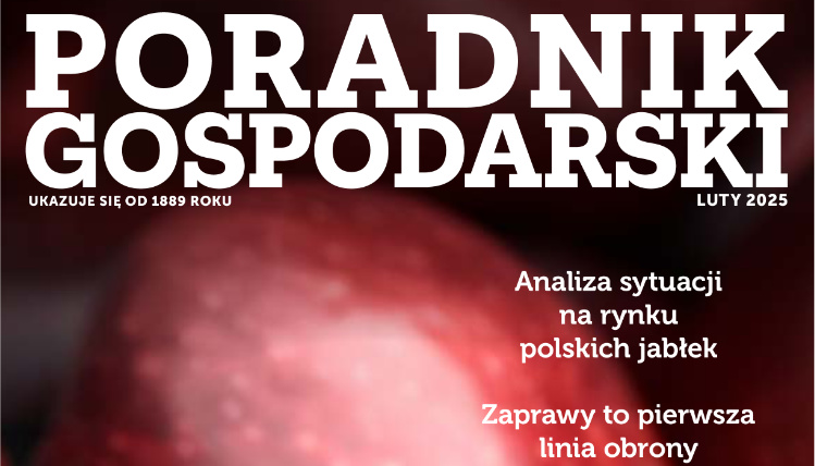 fragment okładki Poradnika z czerwonymi jabłkami