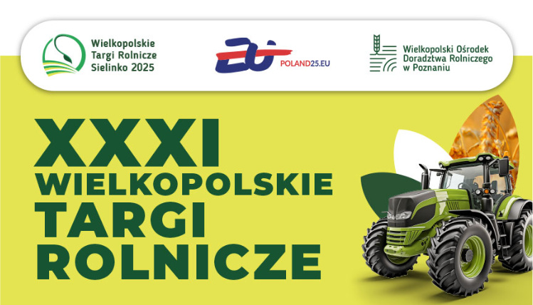 Zaproszenie do Sielinka FILM