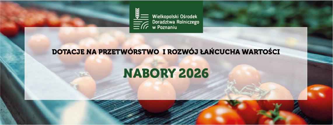 grafika ilustracyjna z pomidorami w tle