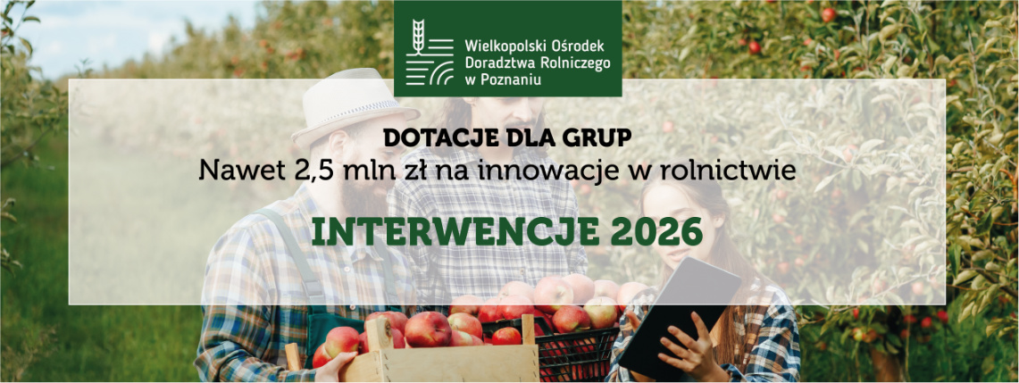 Grafika informacyjna