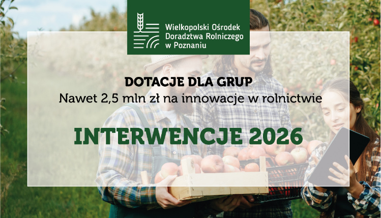 Grafika informacyjna