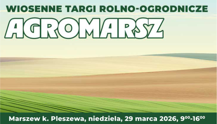 grafika informacyjna